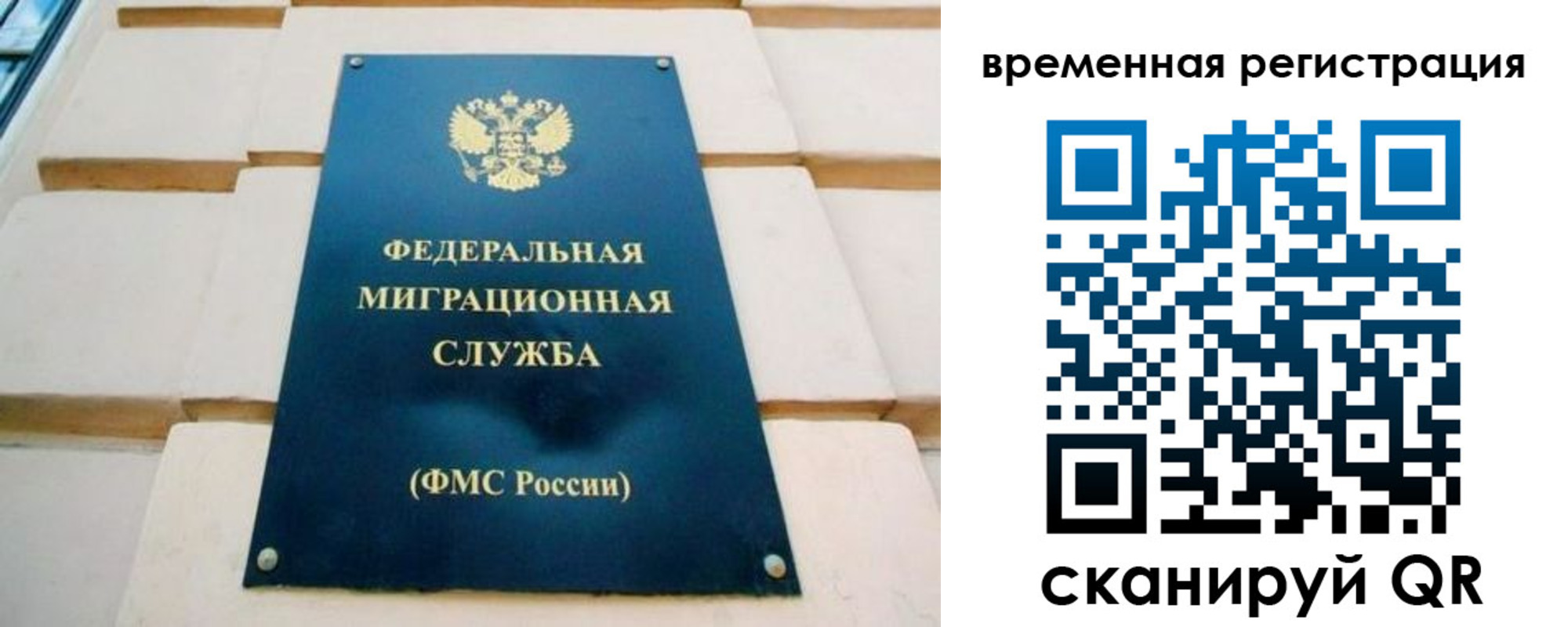 прописка гарантия в Сафоново